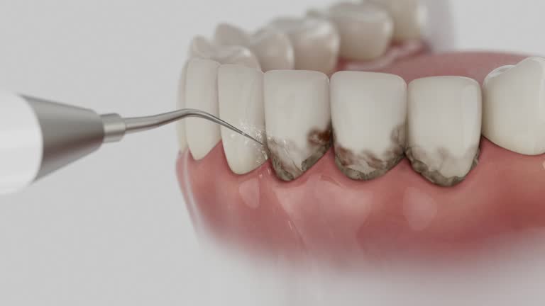 Reliable Dental contractor in Cut Bank, MT by Dentist Open Now